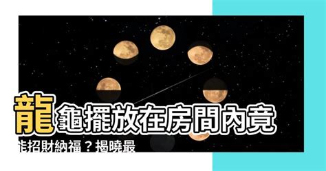 龍龜可以放房間嗎|龍龜可以放房間嗎？臥室床頭擺放龍龜的風水妙用 